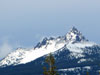 Three Fingered Jack