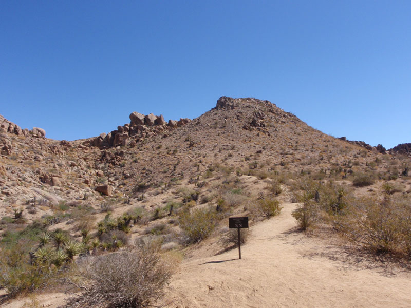 A short hike with the sibs in J Tree&#8212;beyond Cottonwood Springs: Mastodon Peak