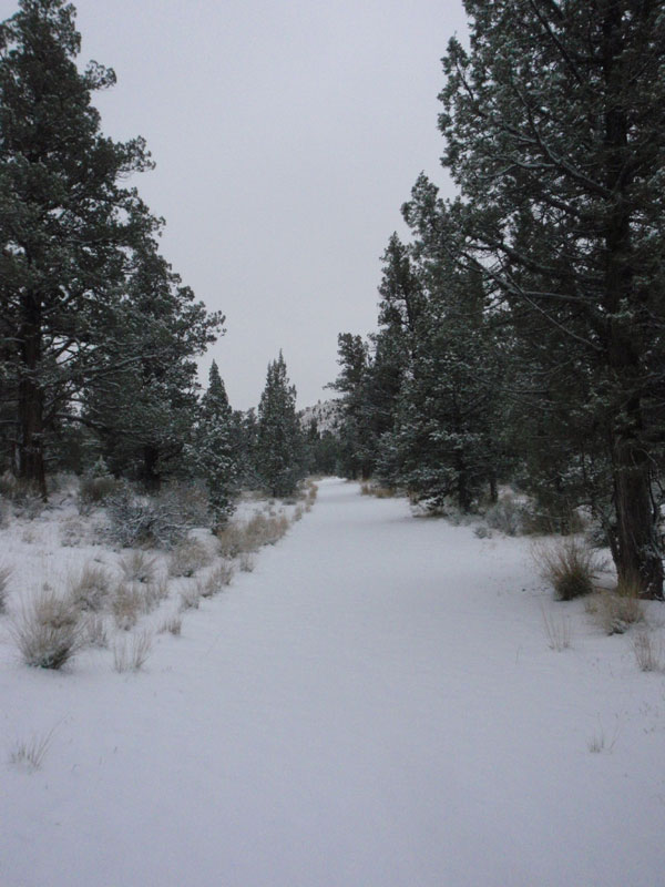 Road in the campground