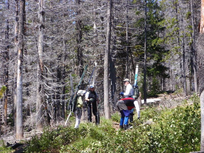 We had to hike up the trail about a mile to find enough snow to ski on