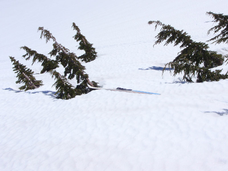 Ski blew over and went for a ride by itself. Stopped by a small tree after losing about 300 ft elevation