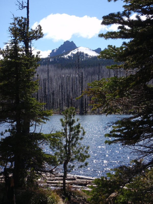 Jack from Jack Lake