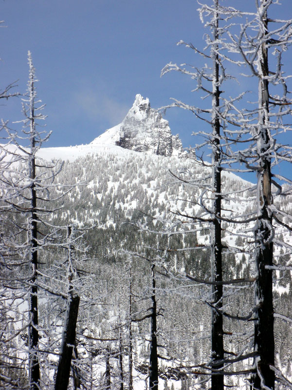 Three Fingered Jack