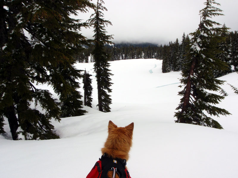 Viewing Scout Lake