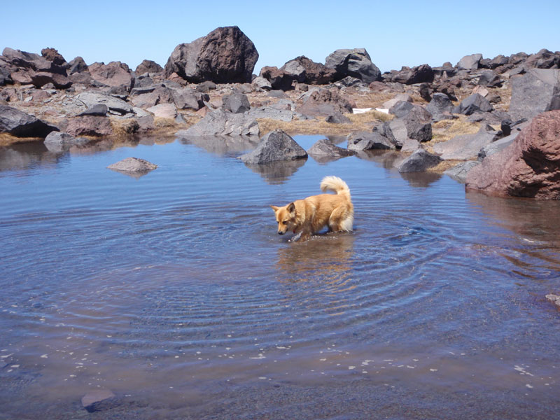 Tarn at the Beach