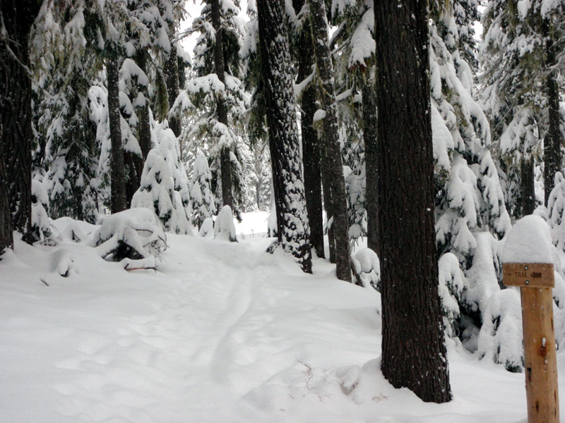 Mosquito Pond is now snow-covered