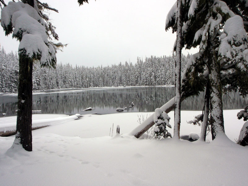 But water showing on Midnight Lake