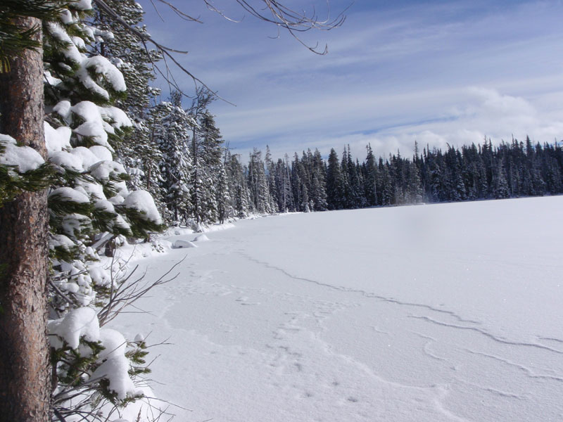 Sunshine at Hidden Lake!