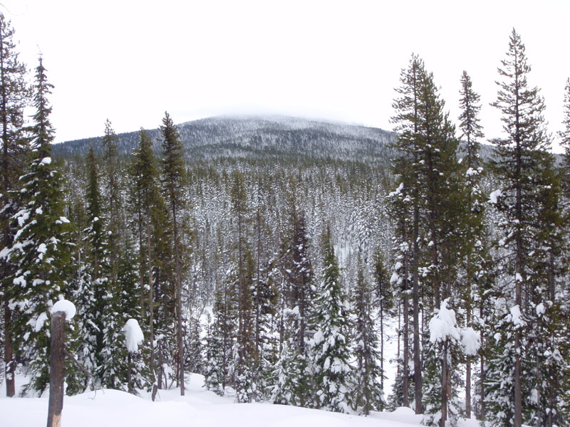 Maiden Peak, in the fog