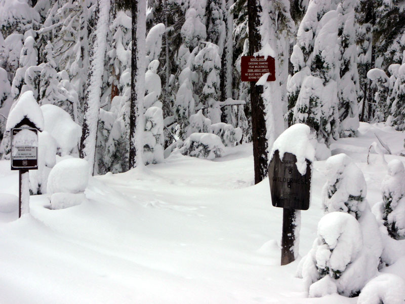 PCT at Pengra Pass