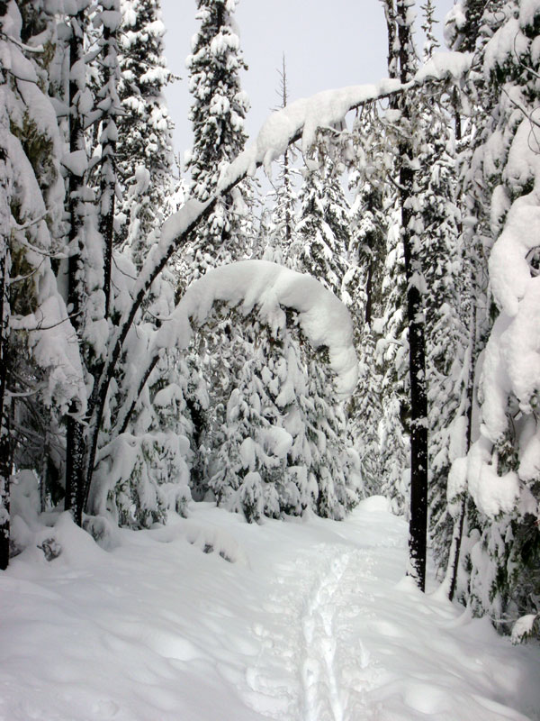 Looking back at my tracks on the PCT