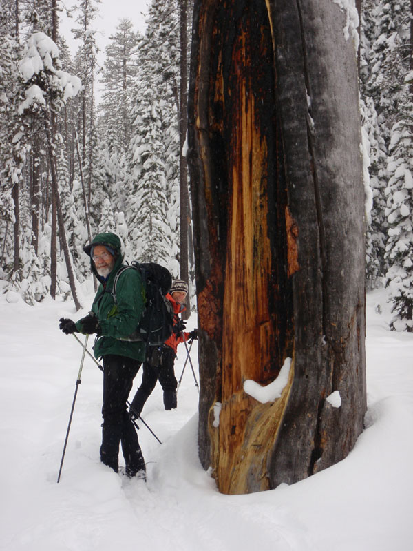 Tuesday ski to the ridge above Pretty Lake. Sue and John by a big snag