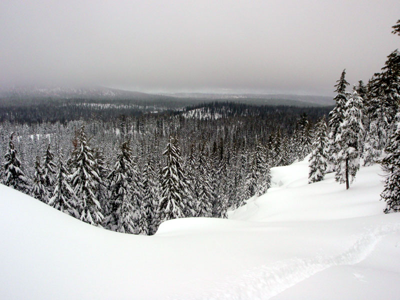 Looking down towards Fawn Lake from the east ridge