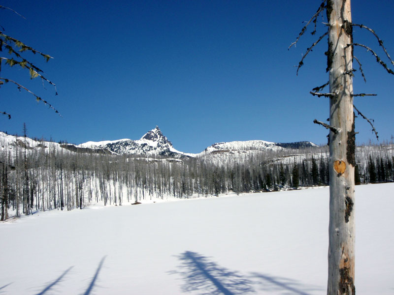 Jack, from Square Lake