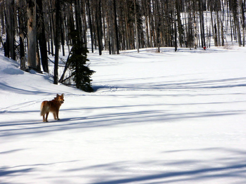 Molly&#8217;s ready to circumnavigate Square Lake