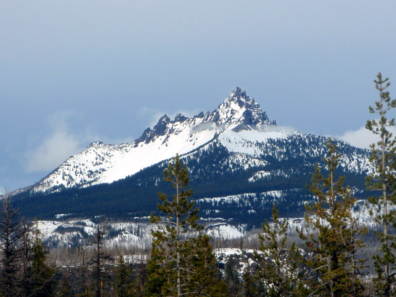 Three Fingered Jack