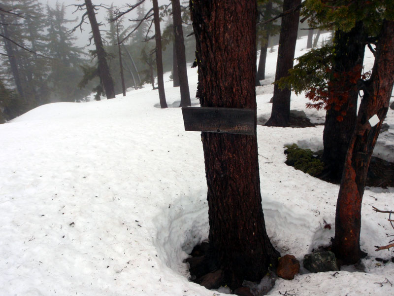 Lots of snow at the JCT with the PCT