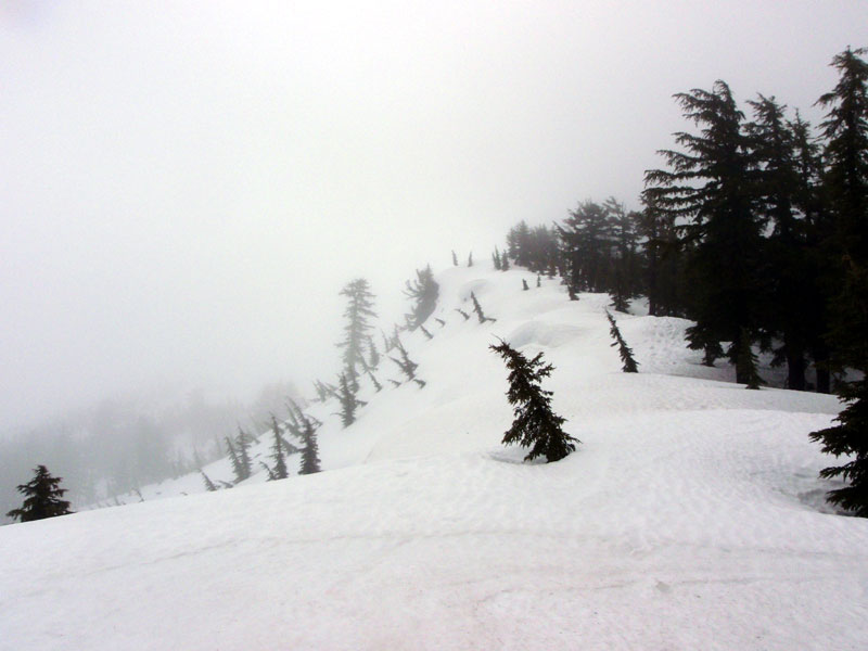 View up the ridge from the JCT