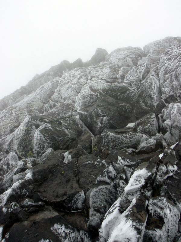 Looking up from chicken point&#8212;no reason to summit on a day like this