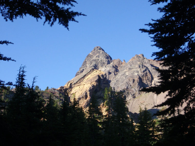 First good view through the trees