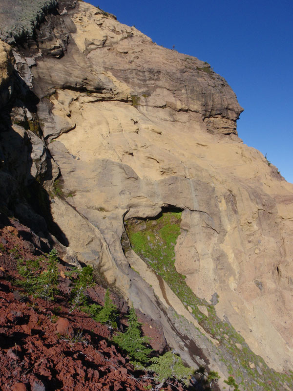 Green patch on the north side of the slab