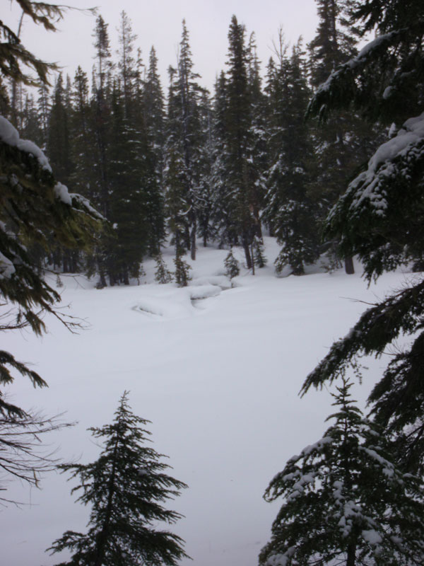 Lils Lake, from south side