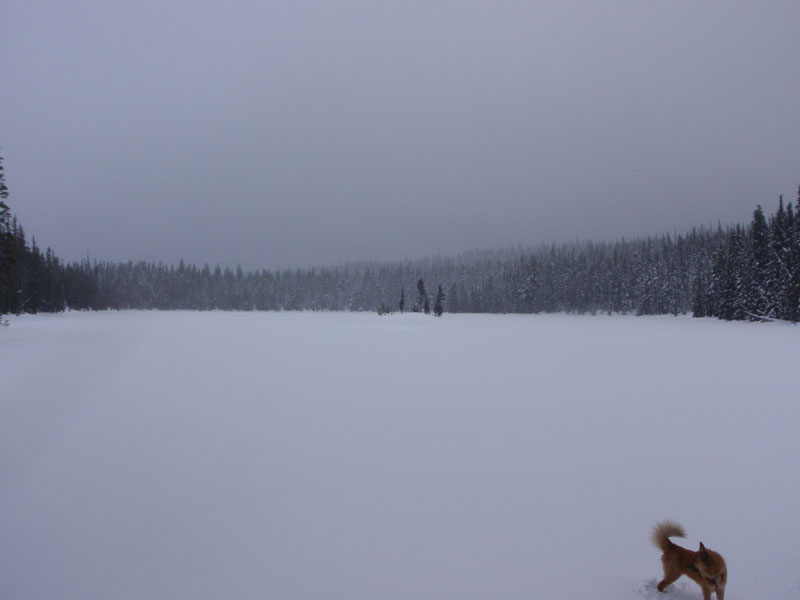 Yoran Lake, from north shore