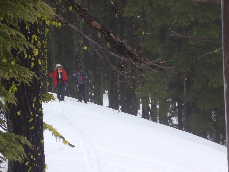 Skied SE slope of Bailey with Sue and John