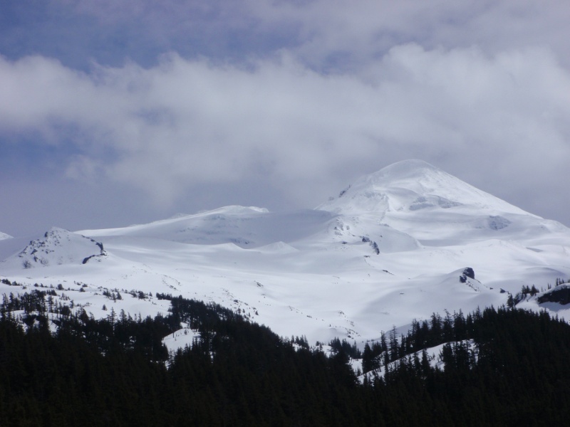 Middle Sister