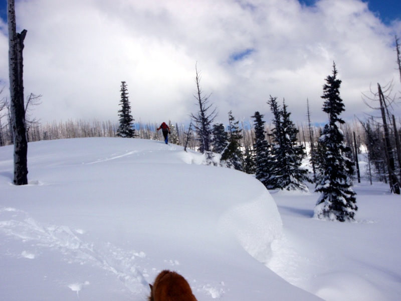 On the ridge above Square Lake