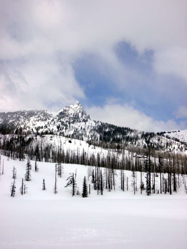 Jack from Booth Lake