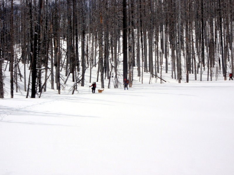 Leaving Booth Lake