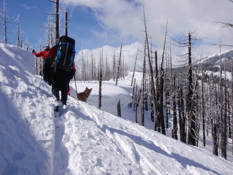 Finding a way through the cornices