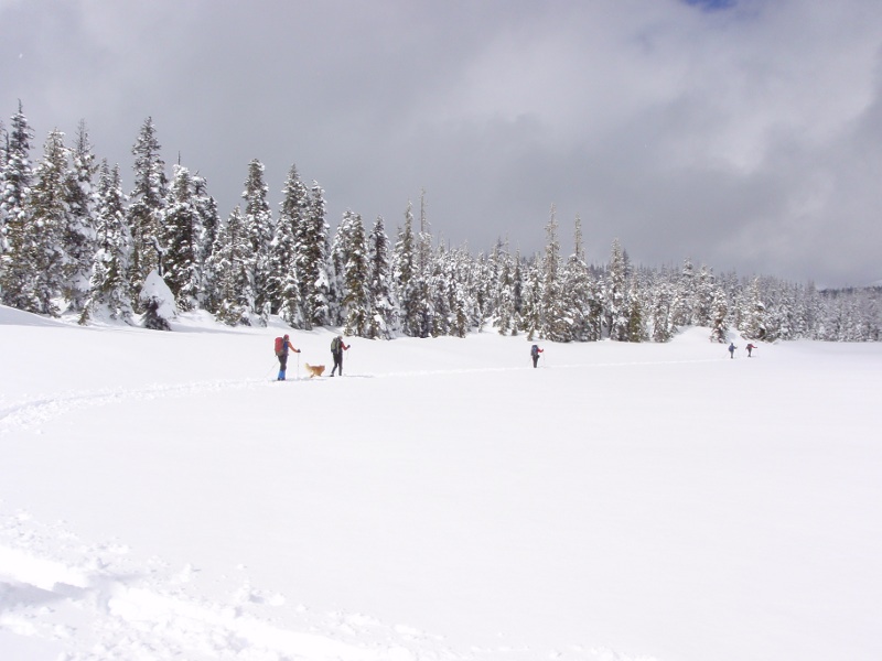 Heading around Craig Lake to continue on to Lower Berley Lake