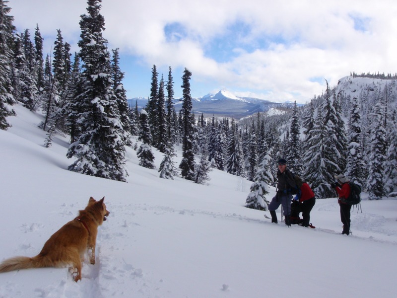 On the way up to the notch