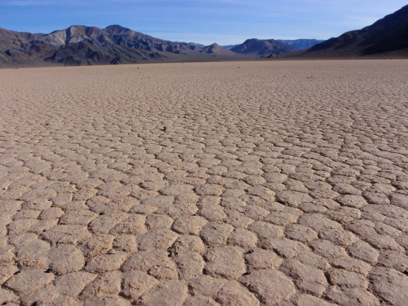 Cracks in the playa