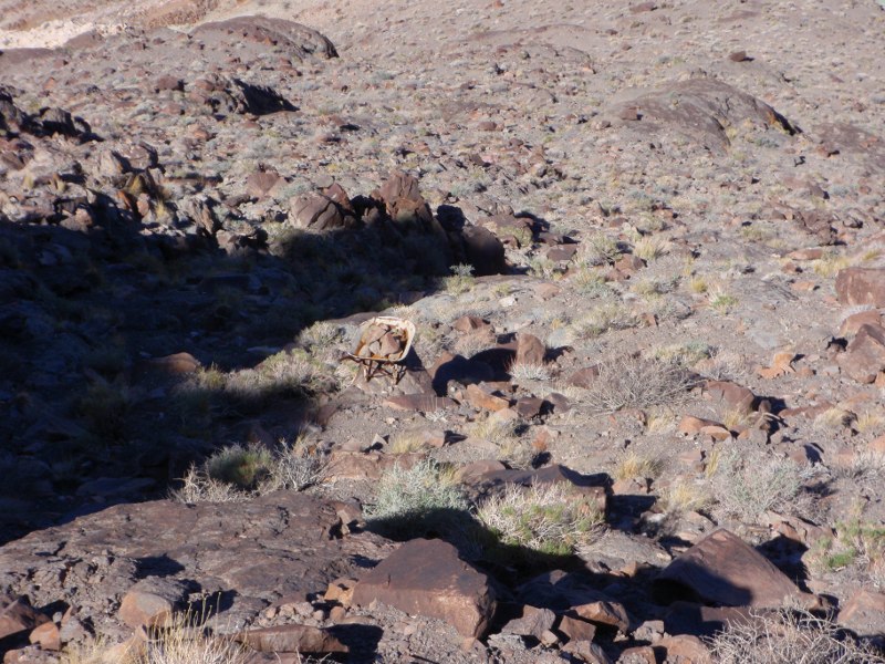 Wheelbarrow left on the mountain