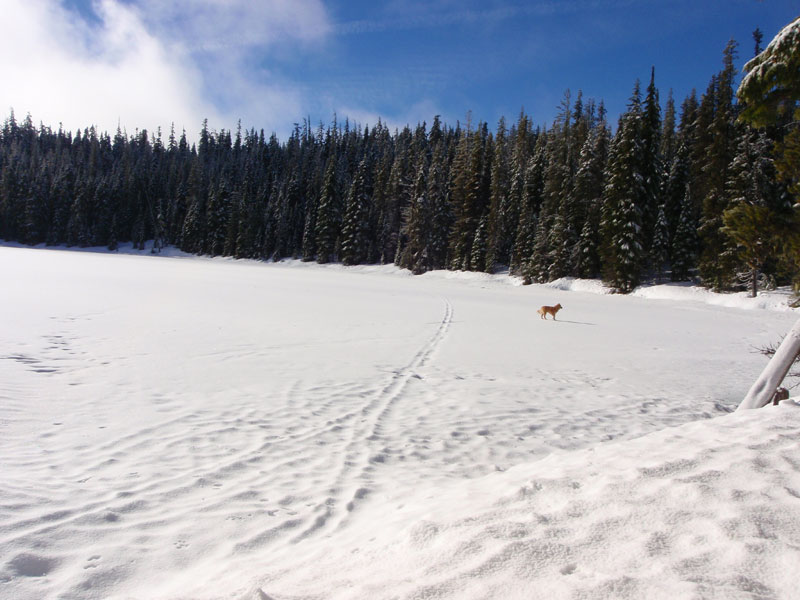 Midnight Lake still has snow