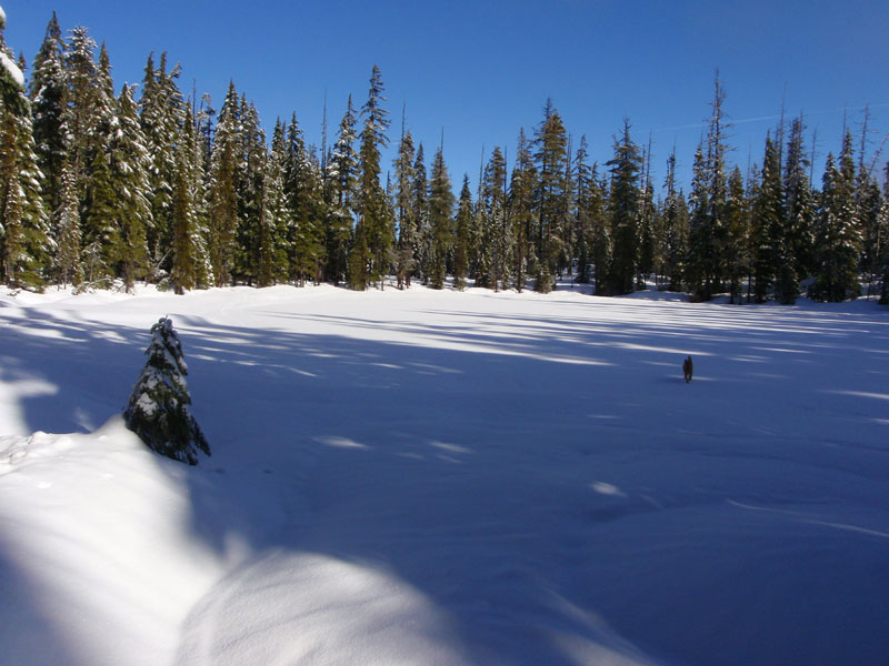 Back down to mosquito pond