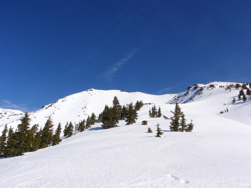 Out of the woods on the west ridge