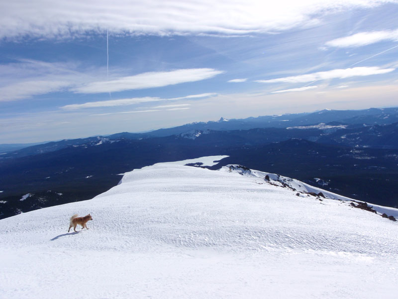 Back down on the south ridge