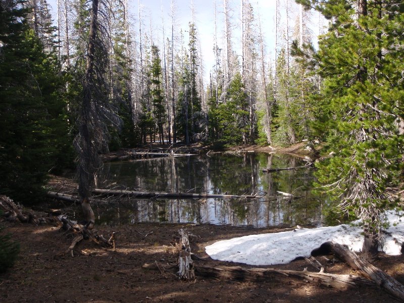 Tarn on the ridge above the Pole Creek Trail