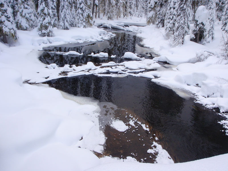 Salt Creek Falls