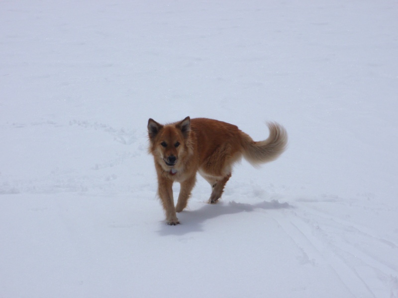 Molly on Hidden Lake