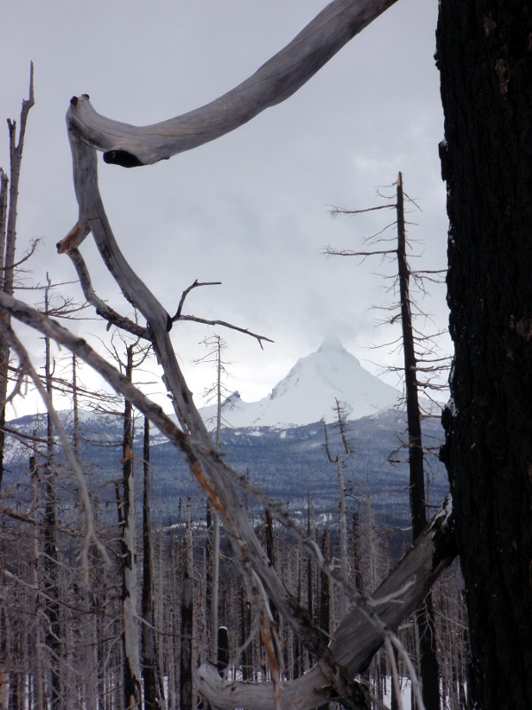 Mt. Washington