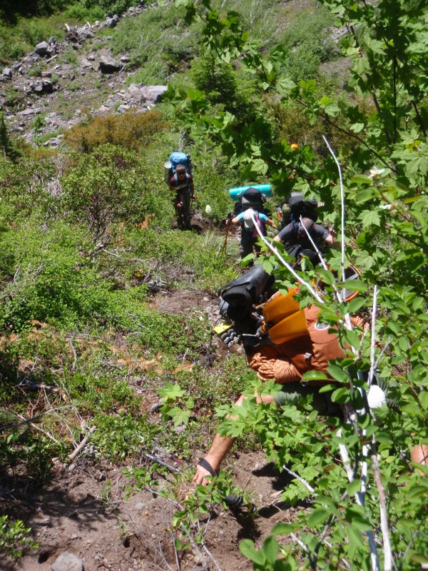 Up the climbers trail