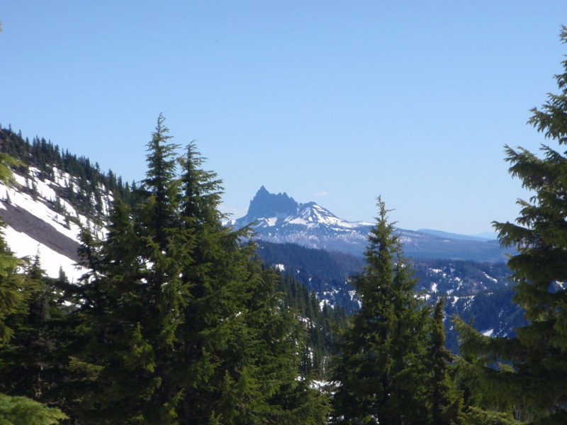 Three Fingered Jack