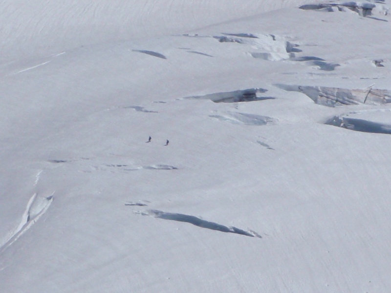 Hmmm, a couple short-roping on the Whitewater Glacier!