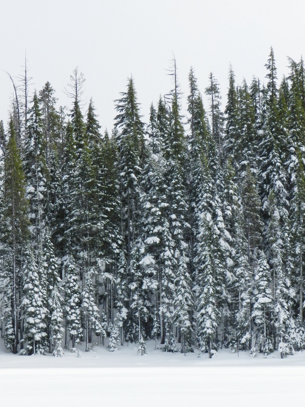 Moderate zoom. Hidden Lake