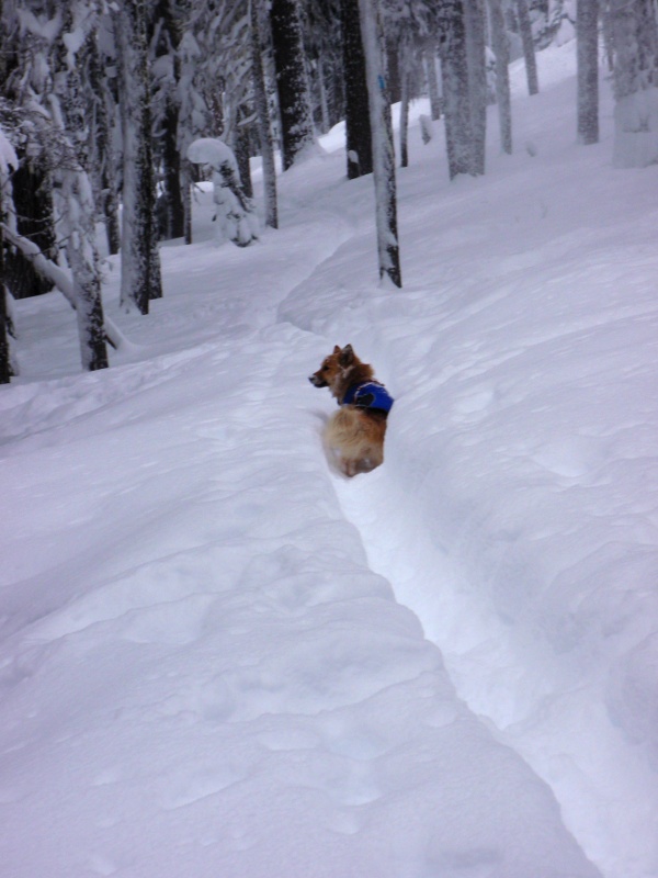 Molly leads the way back